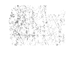 Bacon-feature-icon-home-page