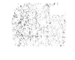 Ham-feature-icon-home-page