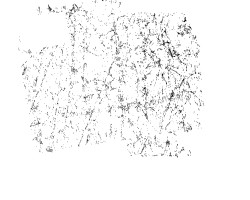 Sausages-feature-icon-home-page